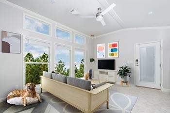 Soaring 11-foot ceilings
